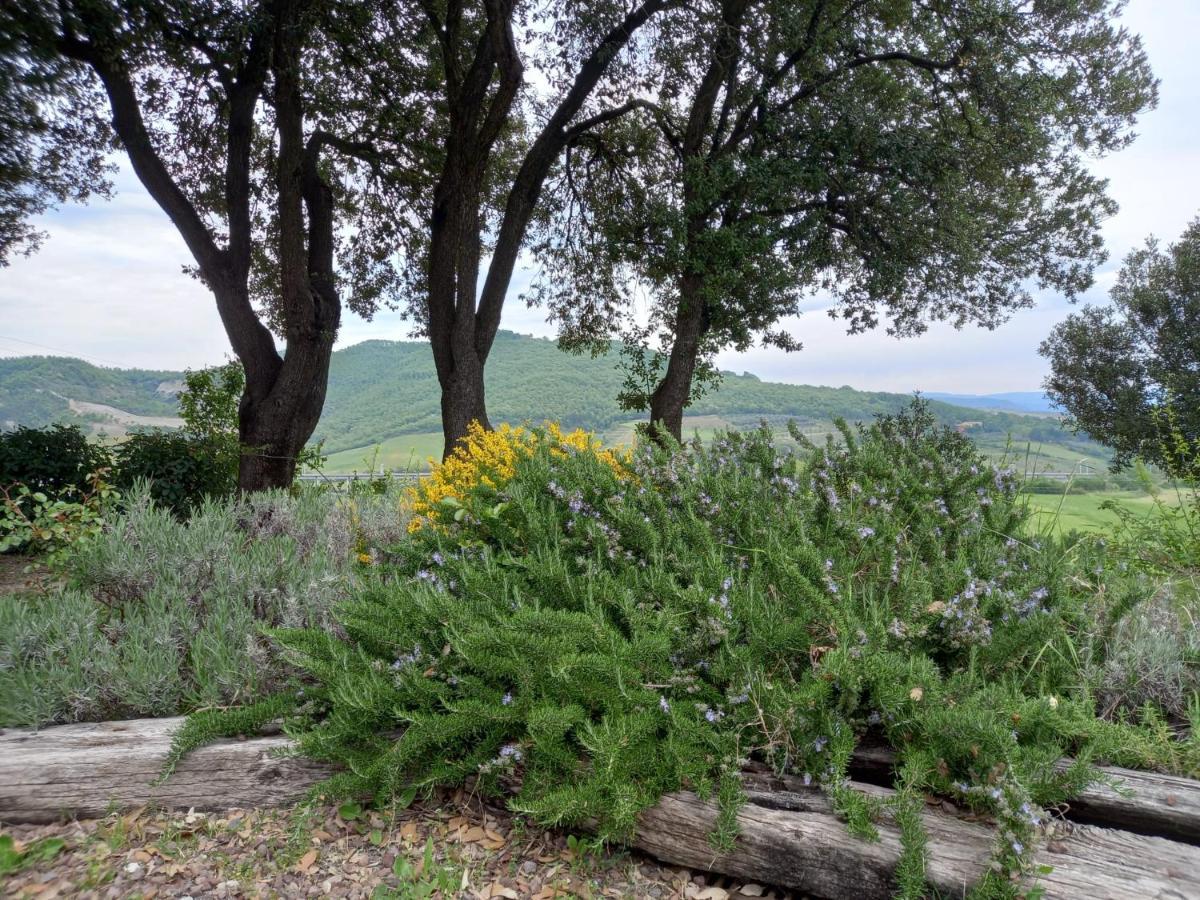 Agriturismo Riparossa Allerona Extérieur photo
