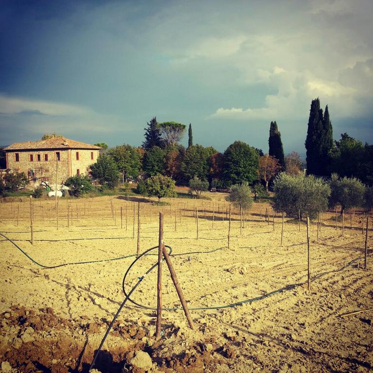Agriturismo Riparossa Allerona Extérieur photo