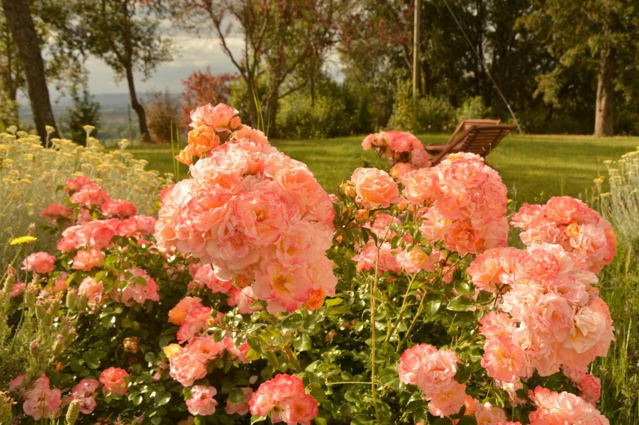 Agriturismo Riparossa Allerona Extérieur photo